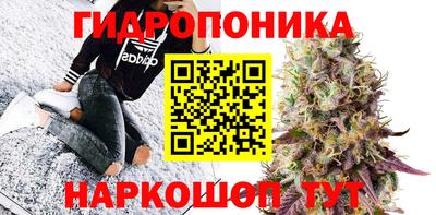 гашик Краснодар