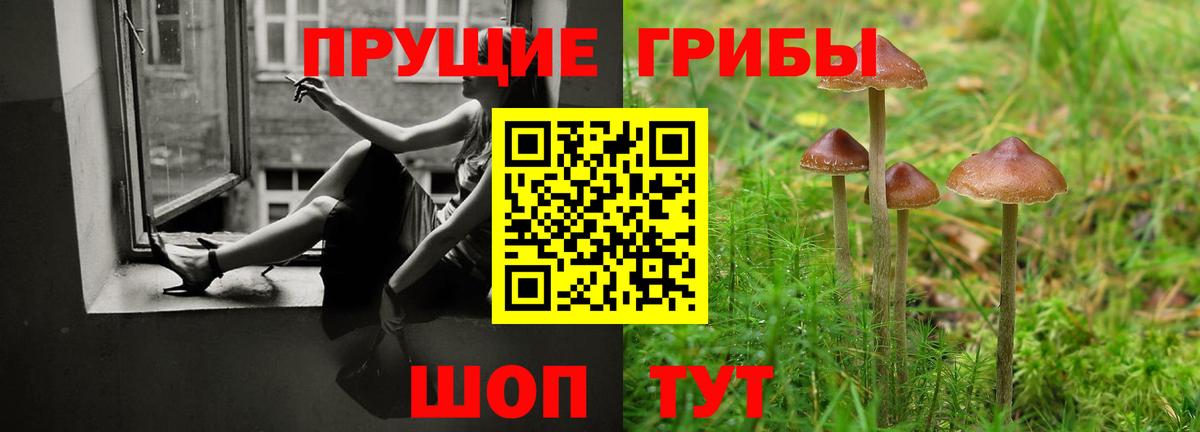 Галлюциногенные грибы мицелий  Псилоцибиновые грибы ЛСД  Ейск  Вход с VPN 